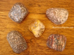 Piedras pulidas de Jaspe Leopardo